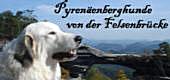 Banner_Felsenbrucke_20302