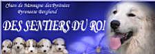 Banner_Sentiers_du_Roi_2