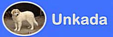 banner_unkada